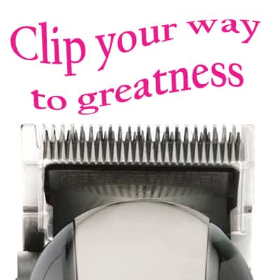 wähl clipper cliphappy_orig
