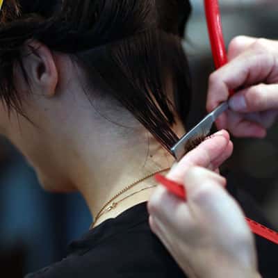 salon biz 1_orig