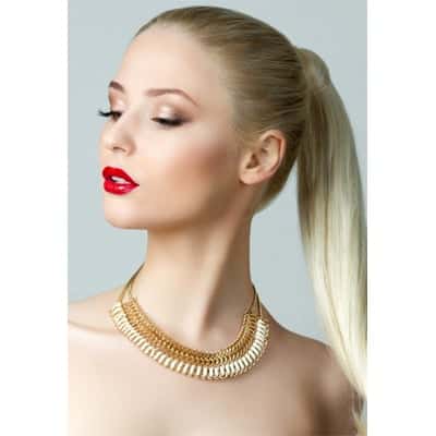 Super Sleek Pony by Denman
