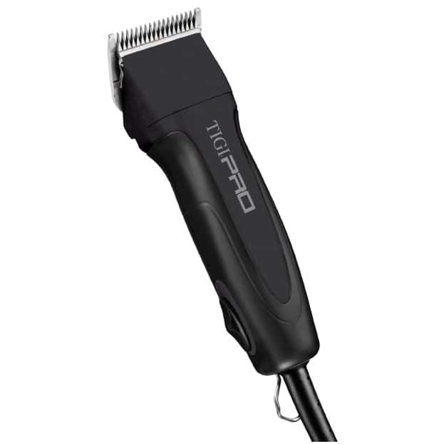 585493clipper_orig