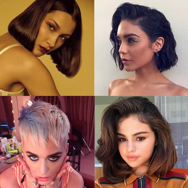 Celeb Quad