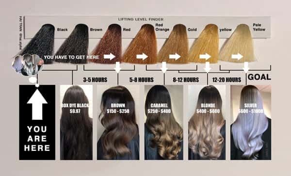 hai-tran-black-to-blonde-guide-high-res-1