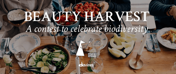 davines beauty harvest contest
