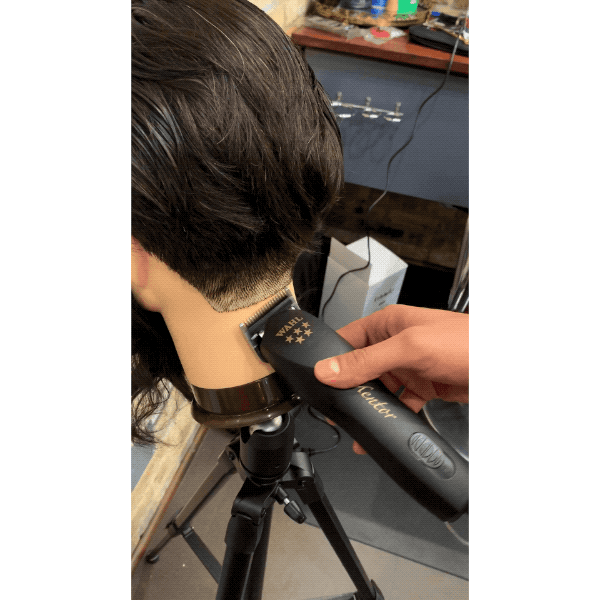Wahl_Professional_Nieves_Almarez_5