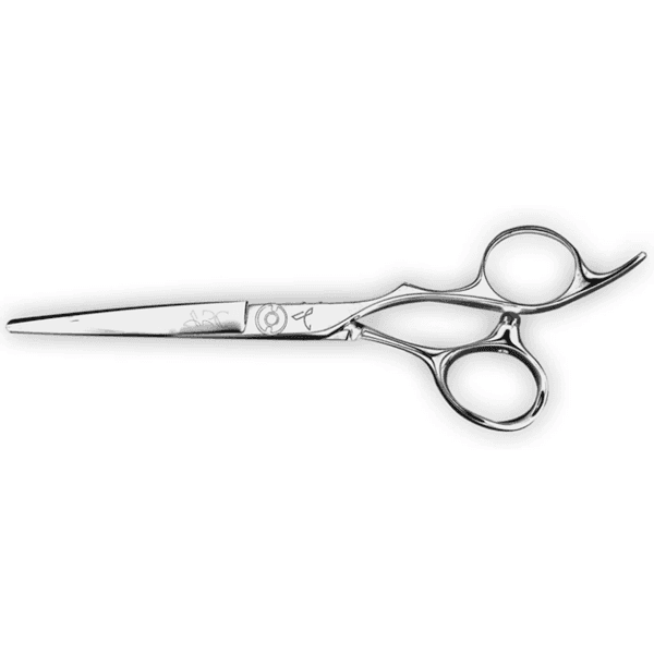 arc-scissors-paragonii-feat