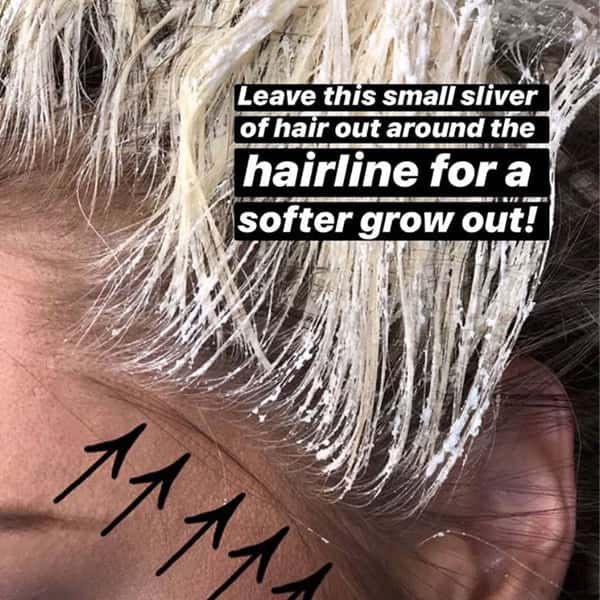 Hairline Balayage Hair Painting Blondes Money Piece