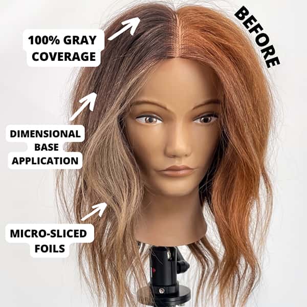 joico-larisalove-express-service-fblive