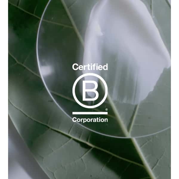 vegan haircare brand b corp certified aveda