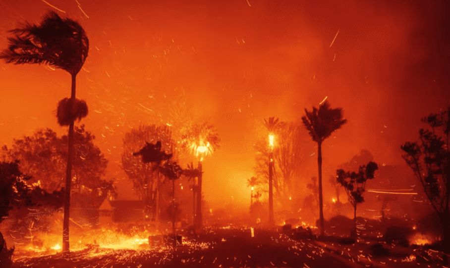 la fires 1