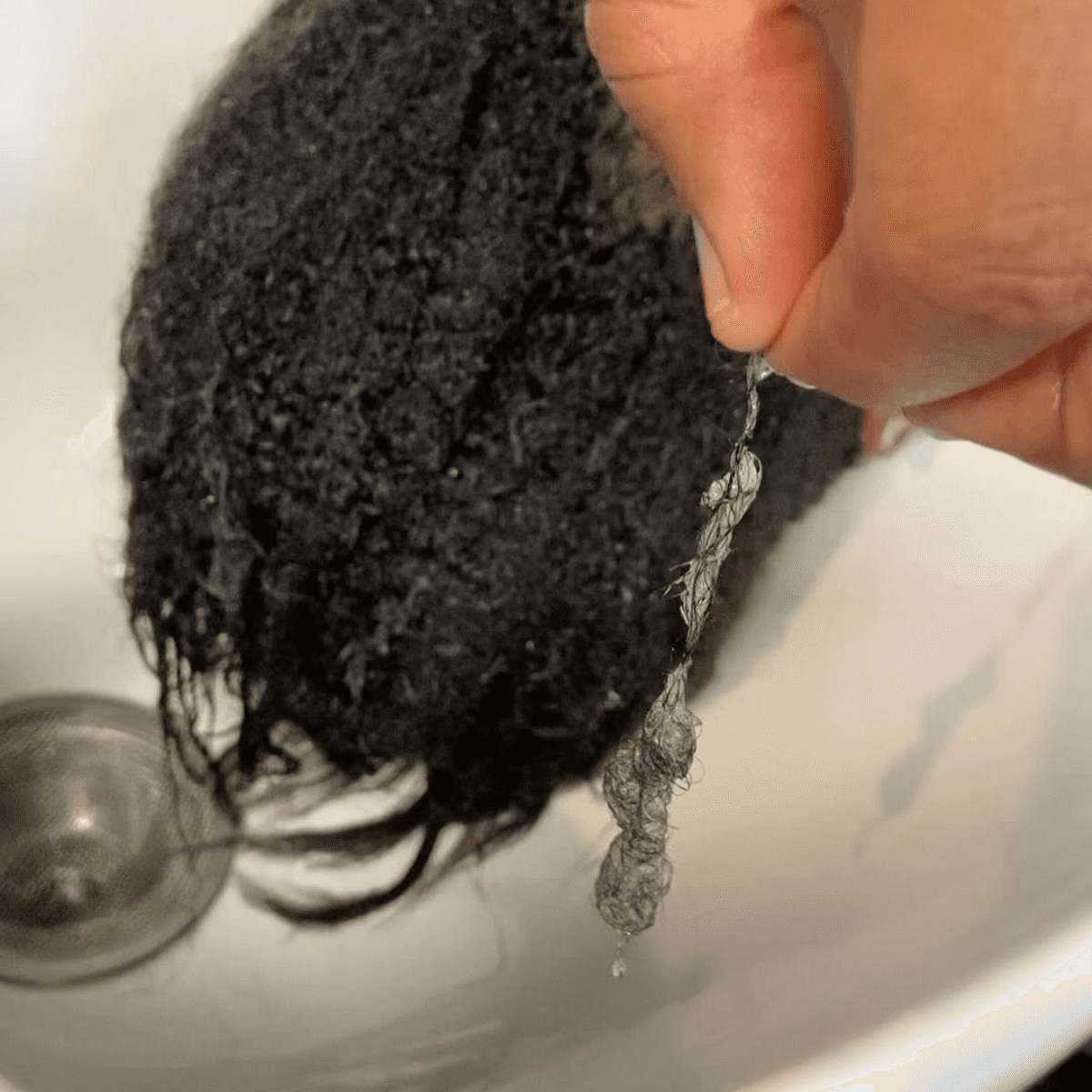 hair with hand holding some to show shedding/ hair loss