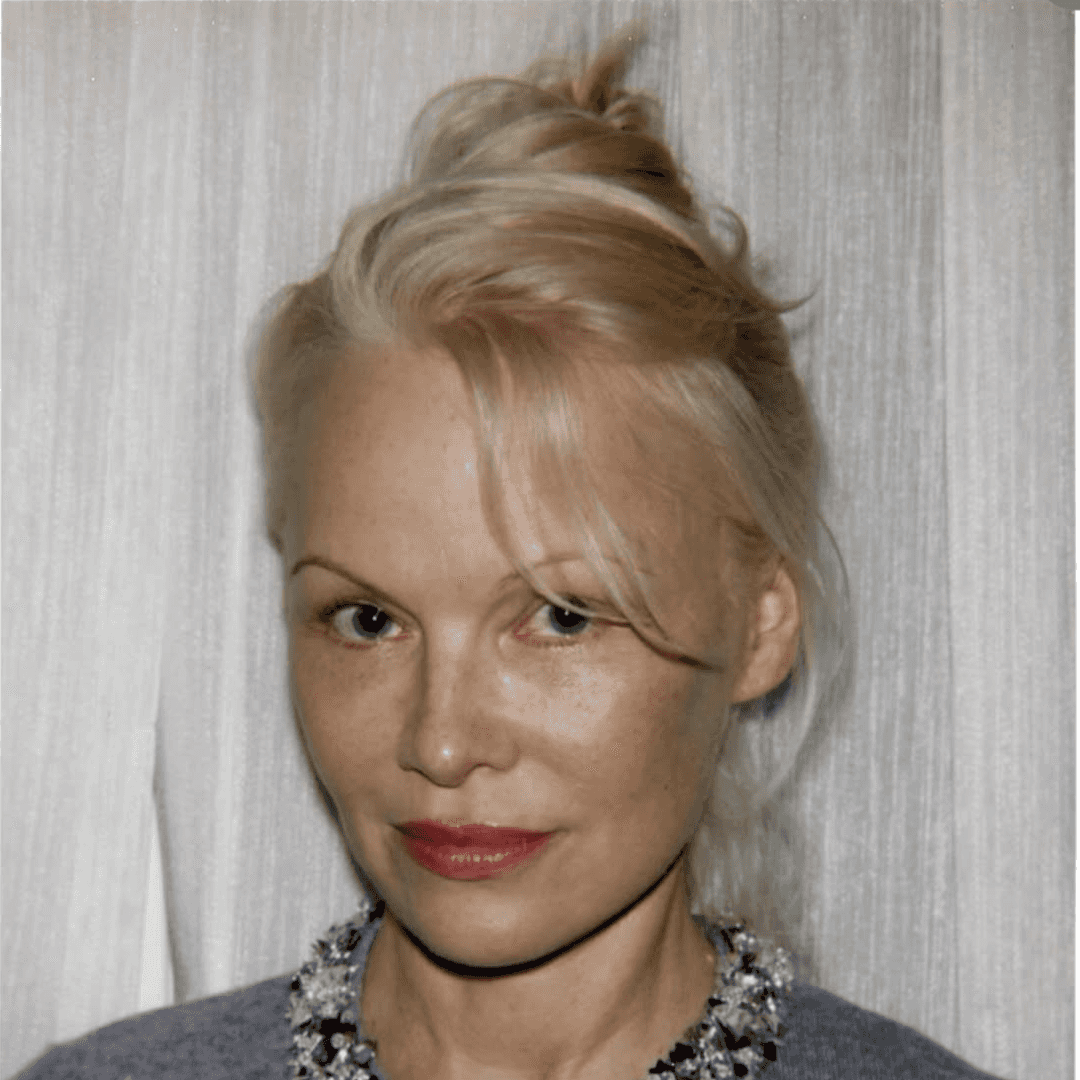 the modern french twist
