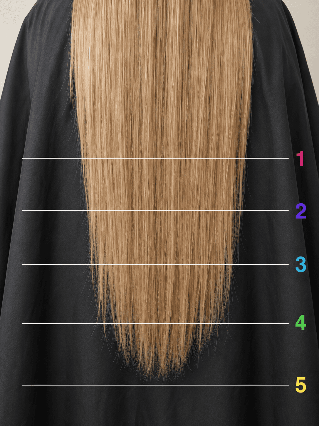 Back view of long blonde hair over a black salon cape with horizontal measurement lines illustrating where a trim ends and a haircut begins.