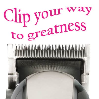 wähl clipper cliphappy_orig