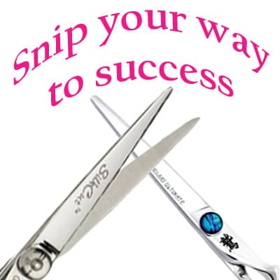 Snip Header_orig