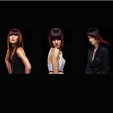 3091663jpms copyx_orig