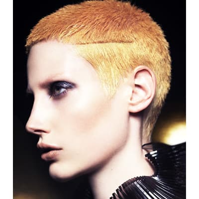 346457Leeson 5_orig