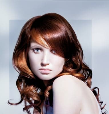 310016col_evb6_end_orig