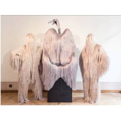 343317image 5_orig