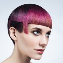 337408purple_orig