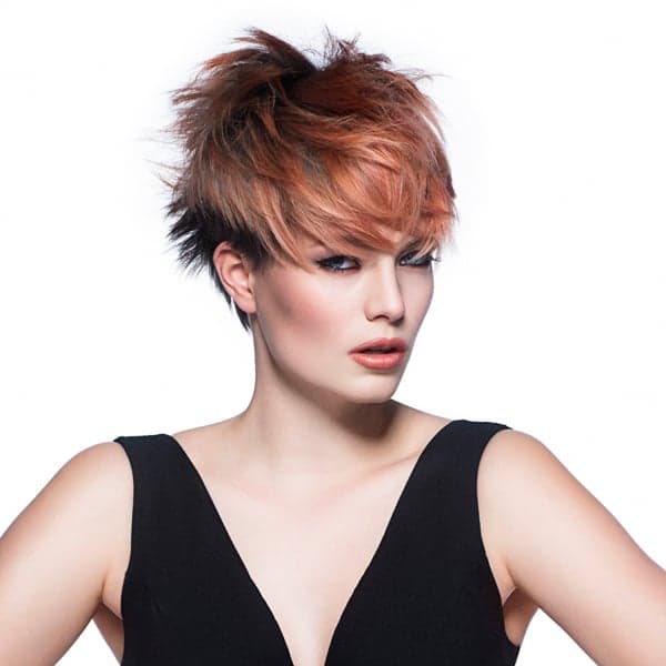 <p>This bold and powerful look is created with strong section partings, soft cutting techniques and complimentary color. The layered textured look provides a wide variety of styling options.</p>
