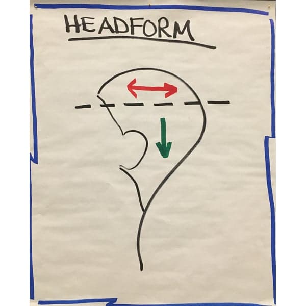 head-form-color-placement