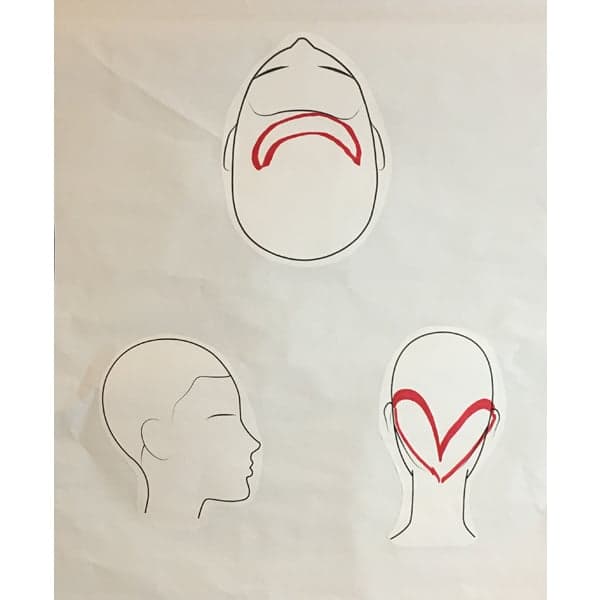head-shape-color-placement2 2