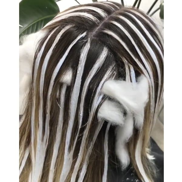 French Balayage Technique Featuring Lo Wheeler Davis Using the L'Oréal Professionnel Coloring Technique