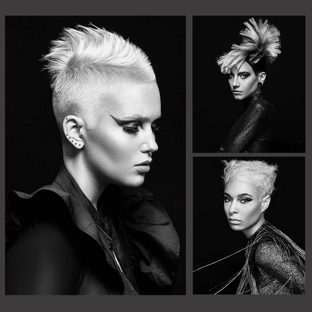 collection-featured-new