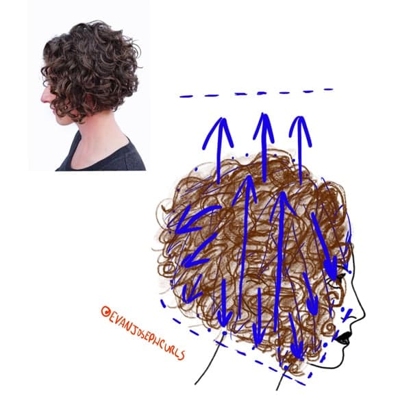 curly haircut head sheet by @evanjosephcurls