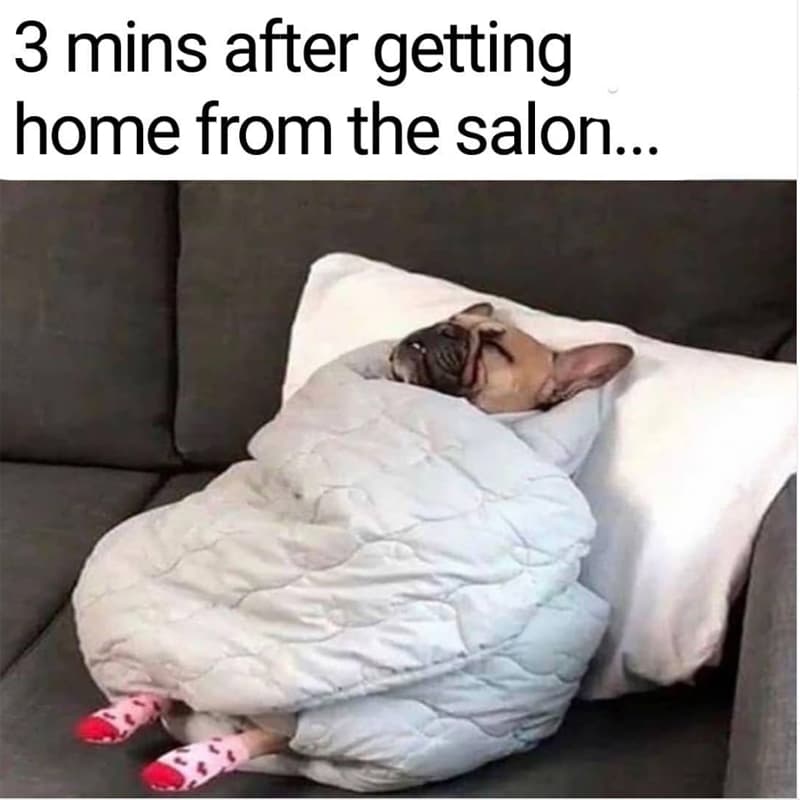 2019-Top-Memes-Gallery-5