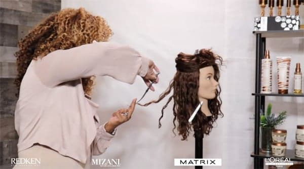 L'Oreal PPD Post BTC Show Article Redken MIZANI Matrix L'Oreal Professionnel Cutting Styling Haircolor Blonding Saturation Tippi Shorter @tippishorter