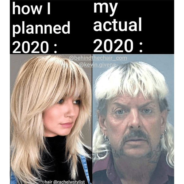 Meme_Gallery_2020_1