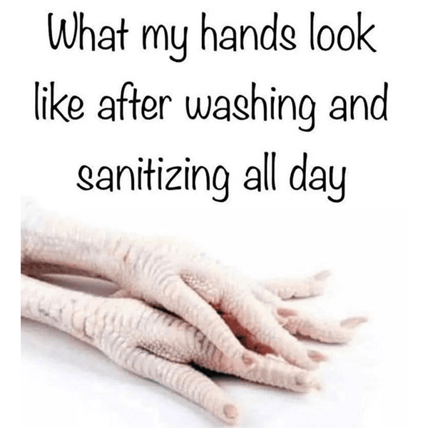 <p>Instagram via: <a href="https://www.instagram.com/cosmetologystudentwork/">@cosmetologystudentwork</a></p>
<p>Check out the Instagram post <a href="https://www.instagram.com/p/CEZPZAbHhmj/?igshid=n1xbo1tzv6pf">here!</a></p>