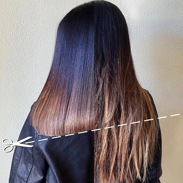 Lanza CBD Wellness Soothing Serum Transformation Haircut @haistylist