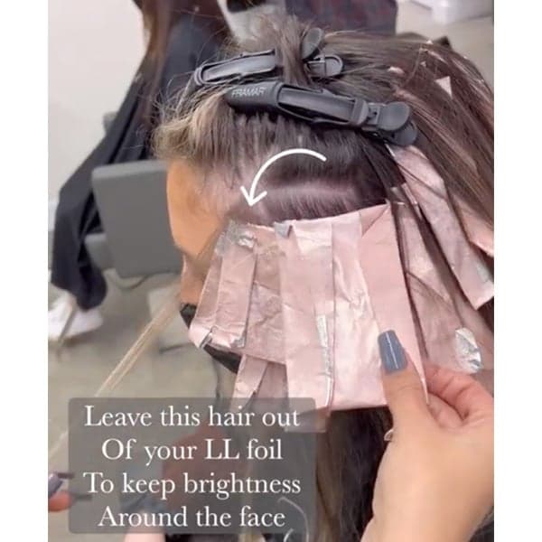 expensive brunette filling the hair how to do lowlights and reverse foilayage to tone without going green alfaparf color wear @paintedbyashleymarie