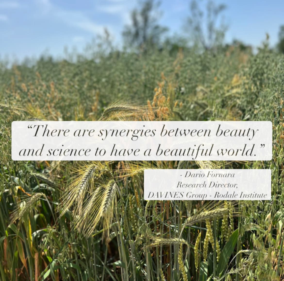 davines-rodale-quote-feat
