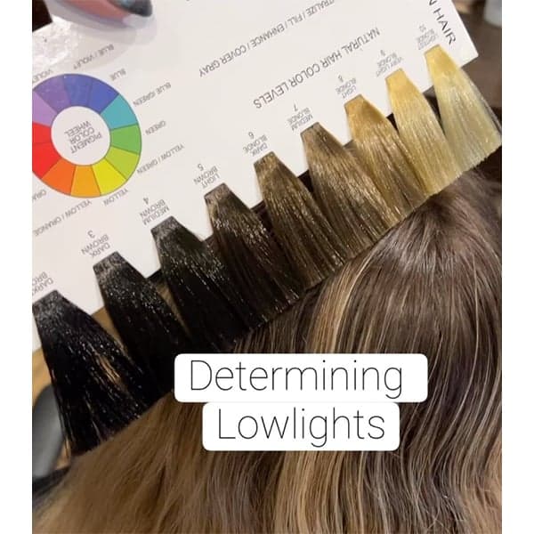 jackwinnpro-lowlights-feat
