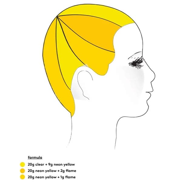 <p>Color key for Not-So-Mellow Yellow</p>
