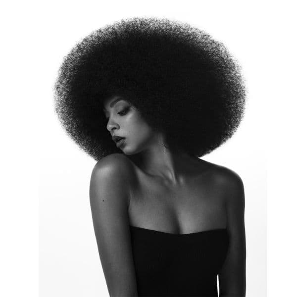 Shape Collection by Tyler Kelbert #ONESHOT Winner 2023