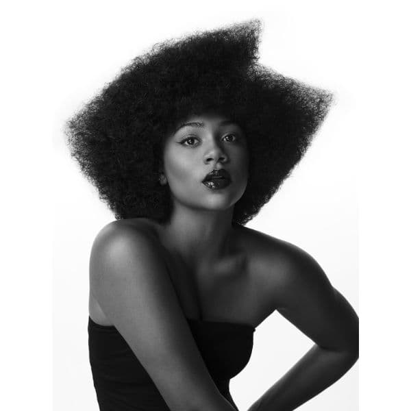 Shape Collection by Tyler Kelbert #ONESHOT Winner 2023
