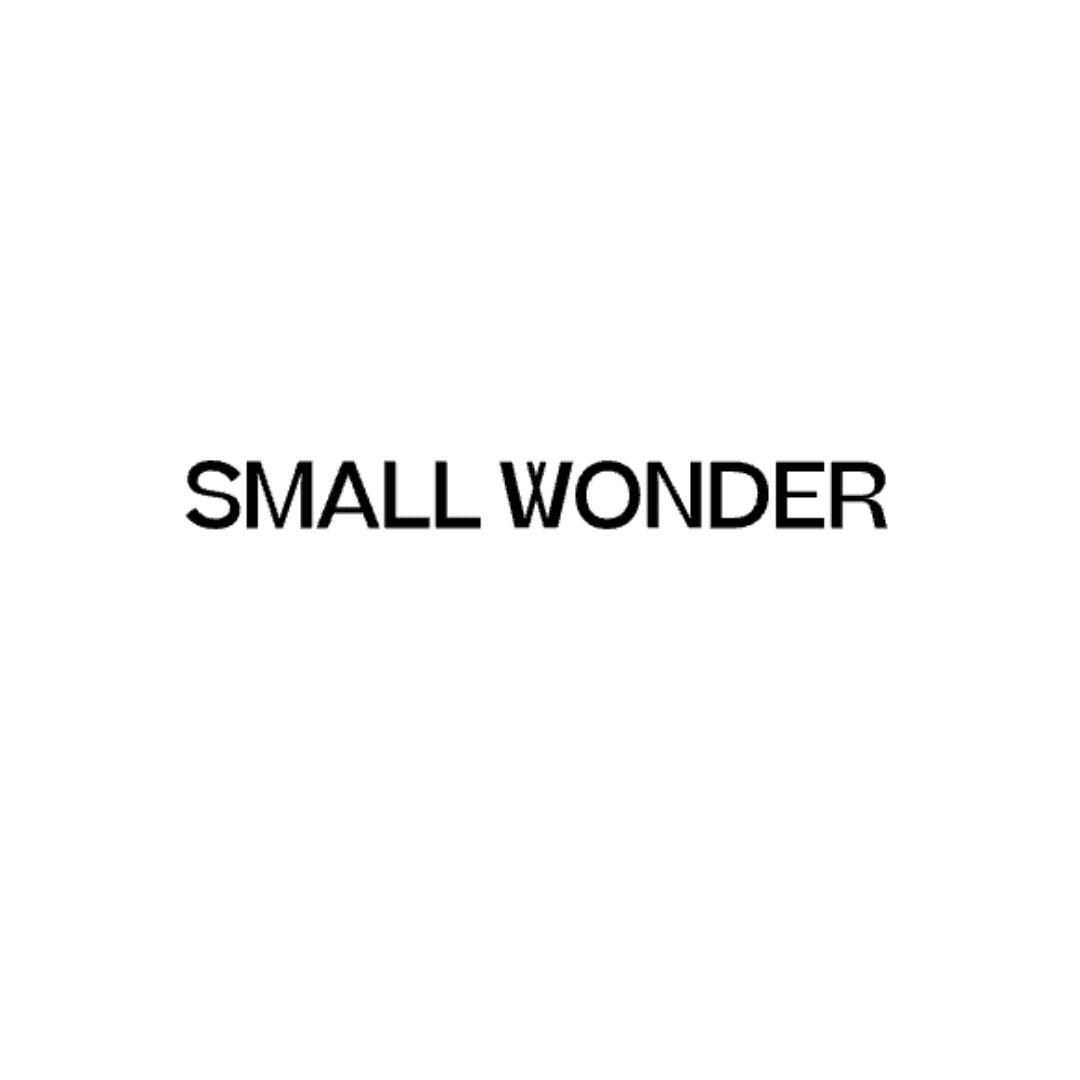 Small Wonder