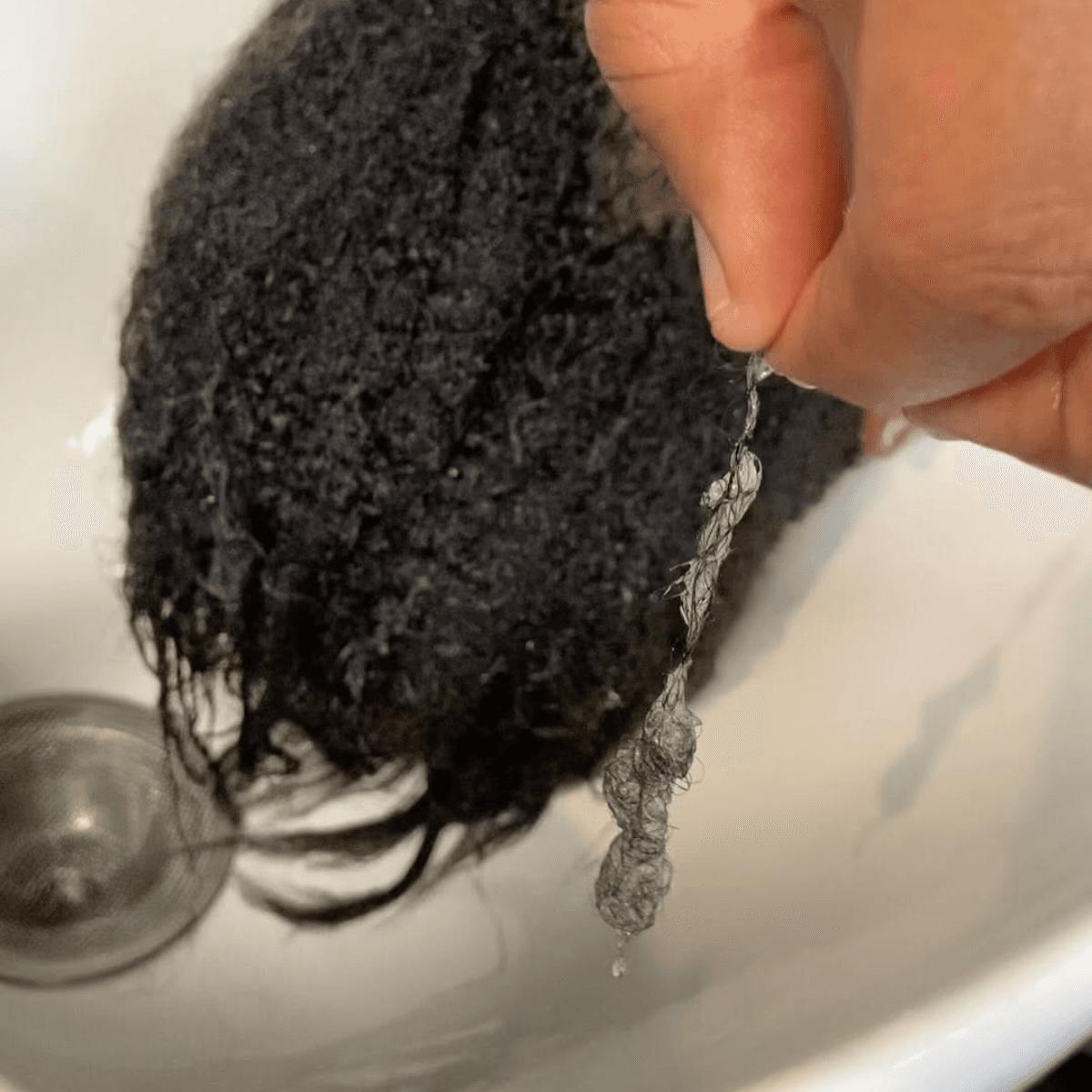 hair with hand holding some to show shedding/ hair loss