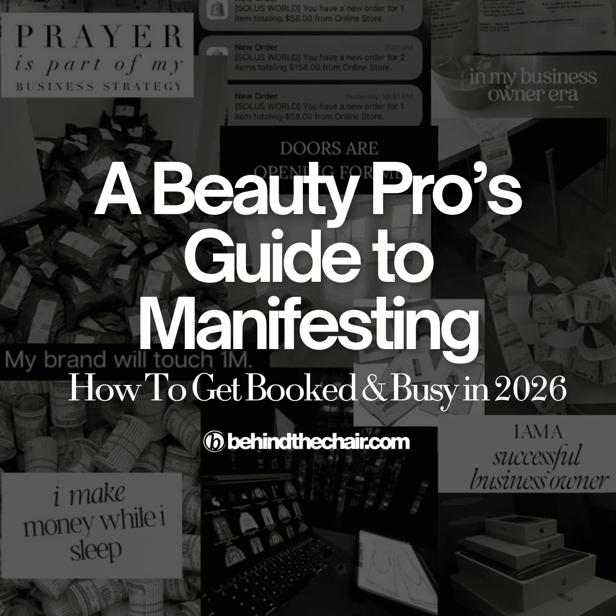 beauty pro's guide to manifesting