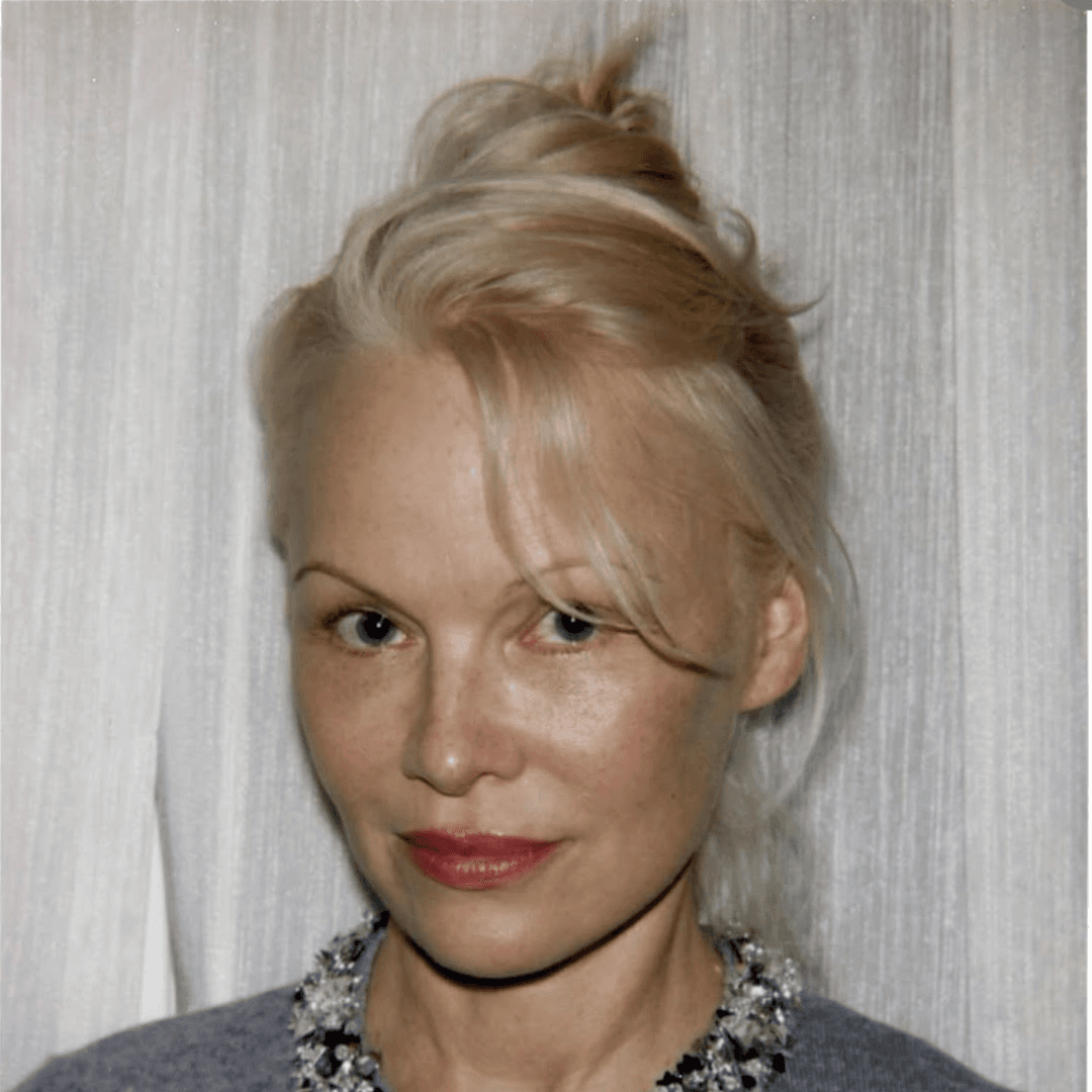 the modern french twist