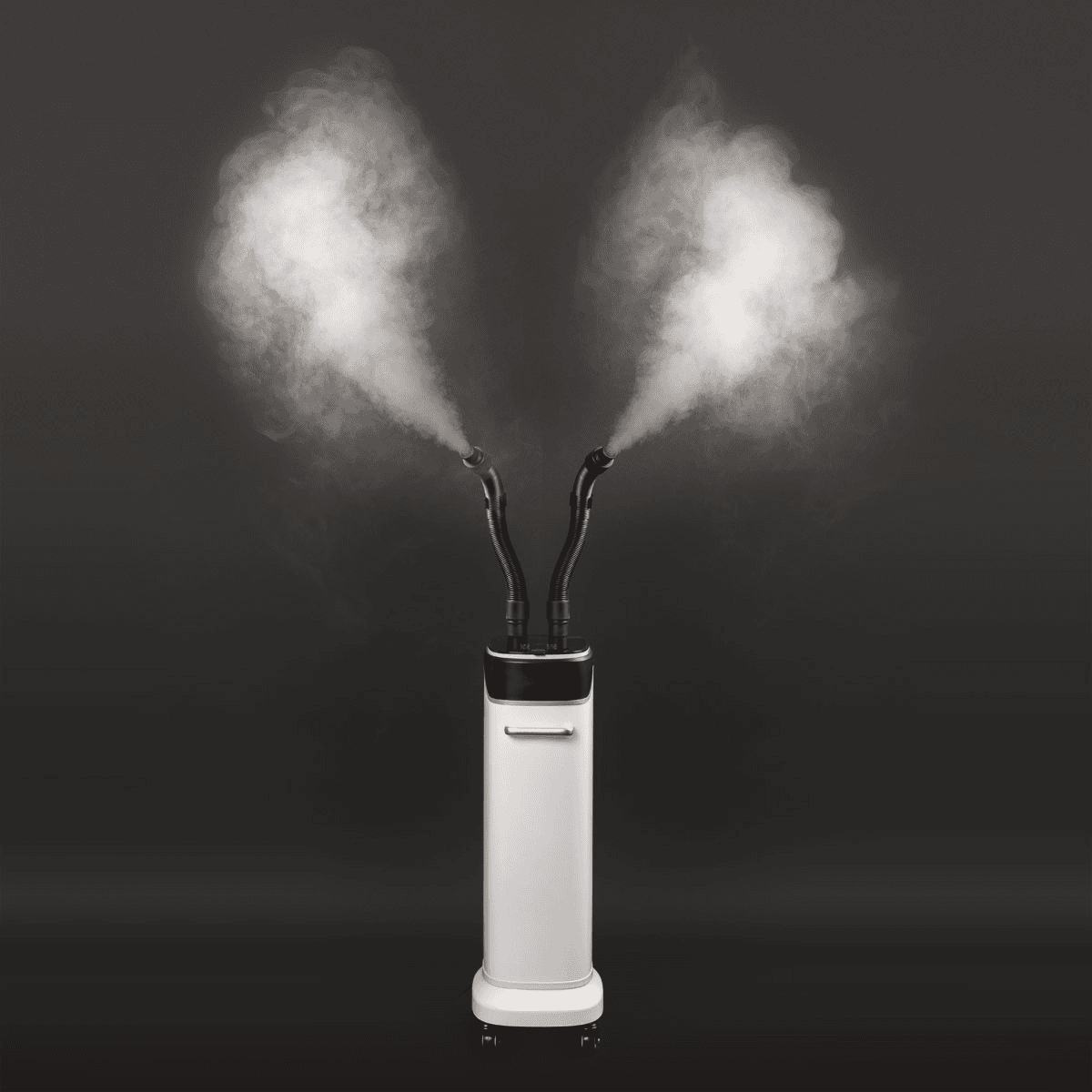 Minerva Beauty Noura MicroMist Scalp and Hair Steamer