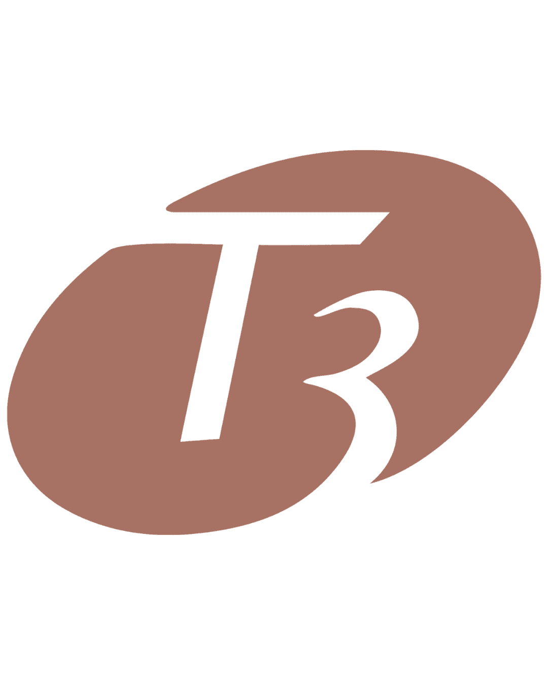 T3 Micro