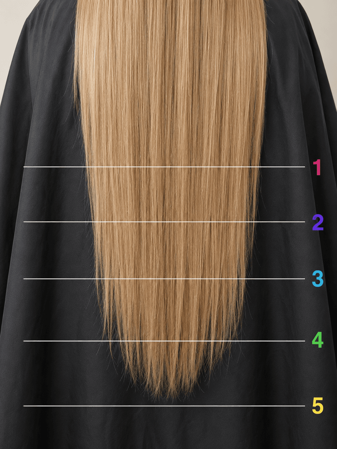 Back view of long blonde hair over a black salon cape with horizontal measurement lines illustrating where a trim ends and a haircut begins.