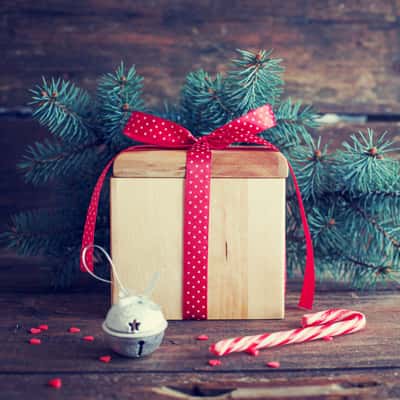 This Year’s Hottest Holiday Retail Items You Need