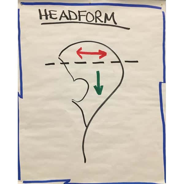 head-form-color-placement