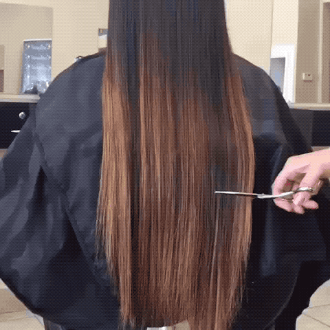 4-cut-color-technique-videos-paintedhair-1
